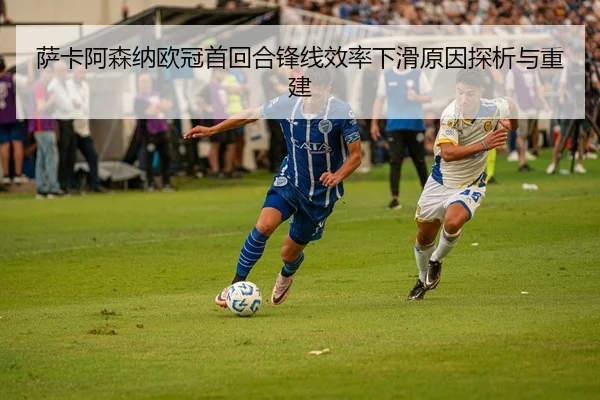 sa-ka-a-sen-na-ou-guan-shou-hui-he-feng-xian-xiao-lv-xia-hua-yuan-yin-tan-xi-yu-chong-jian-2-318.jpg